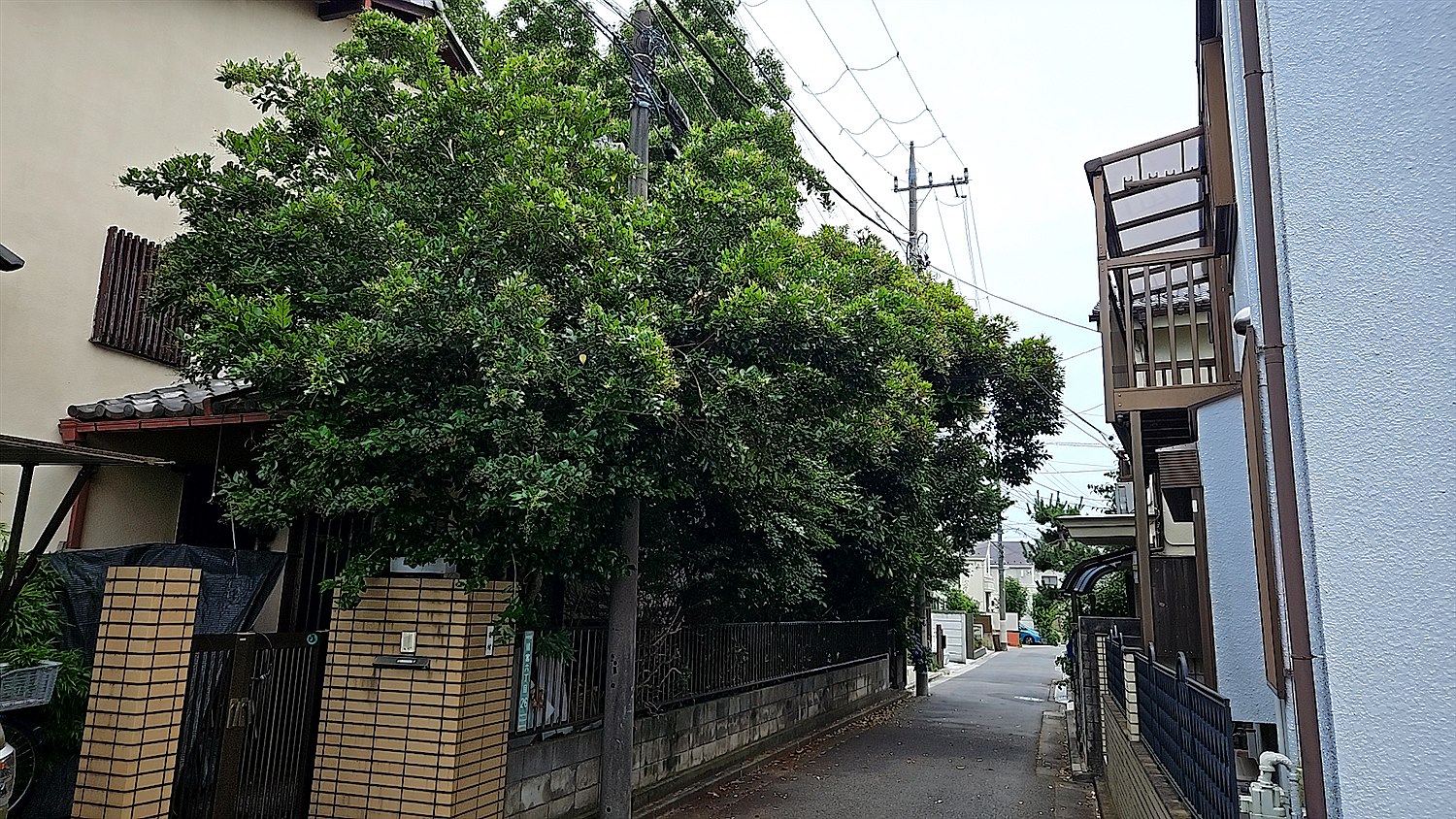 施工前2