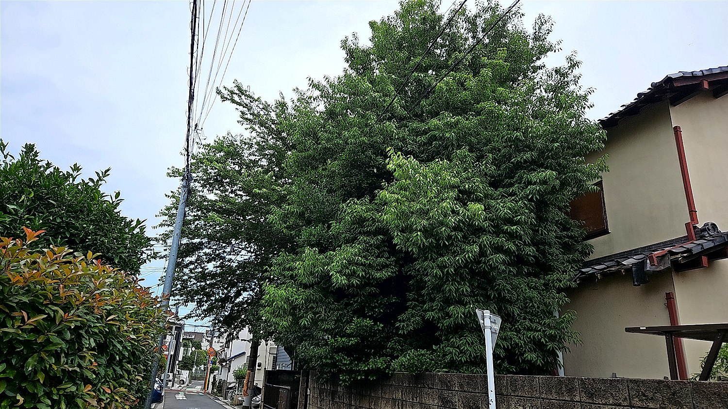 施工前