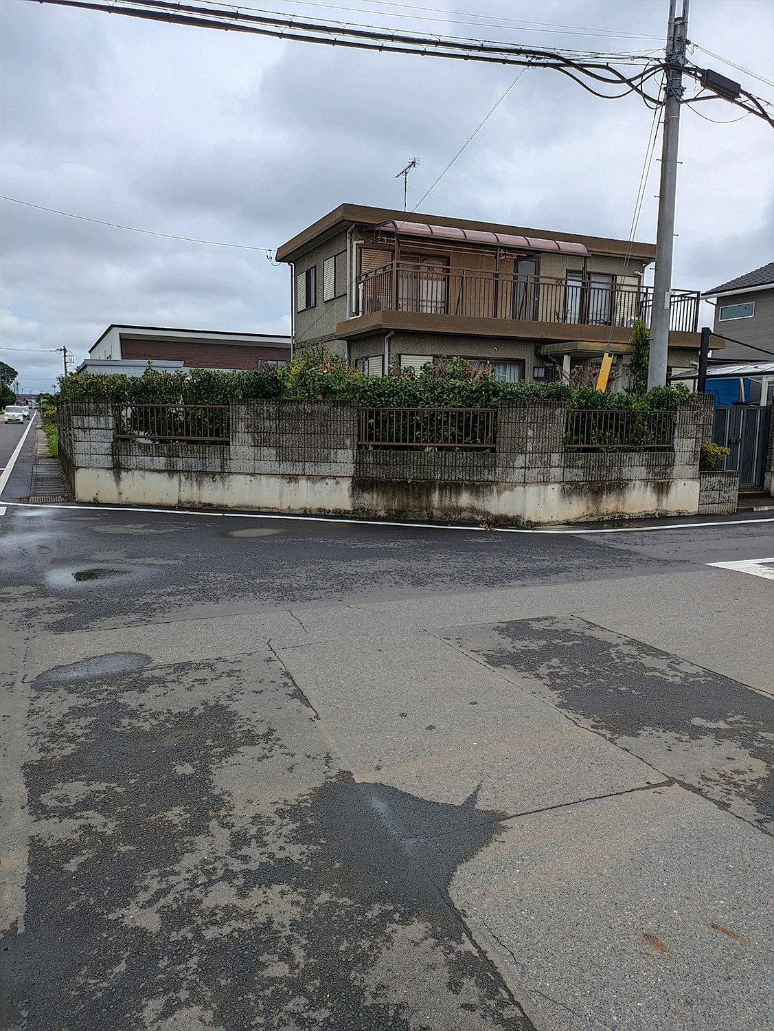 大阪府堺市南区／庭木伐採