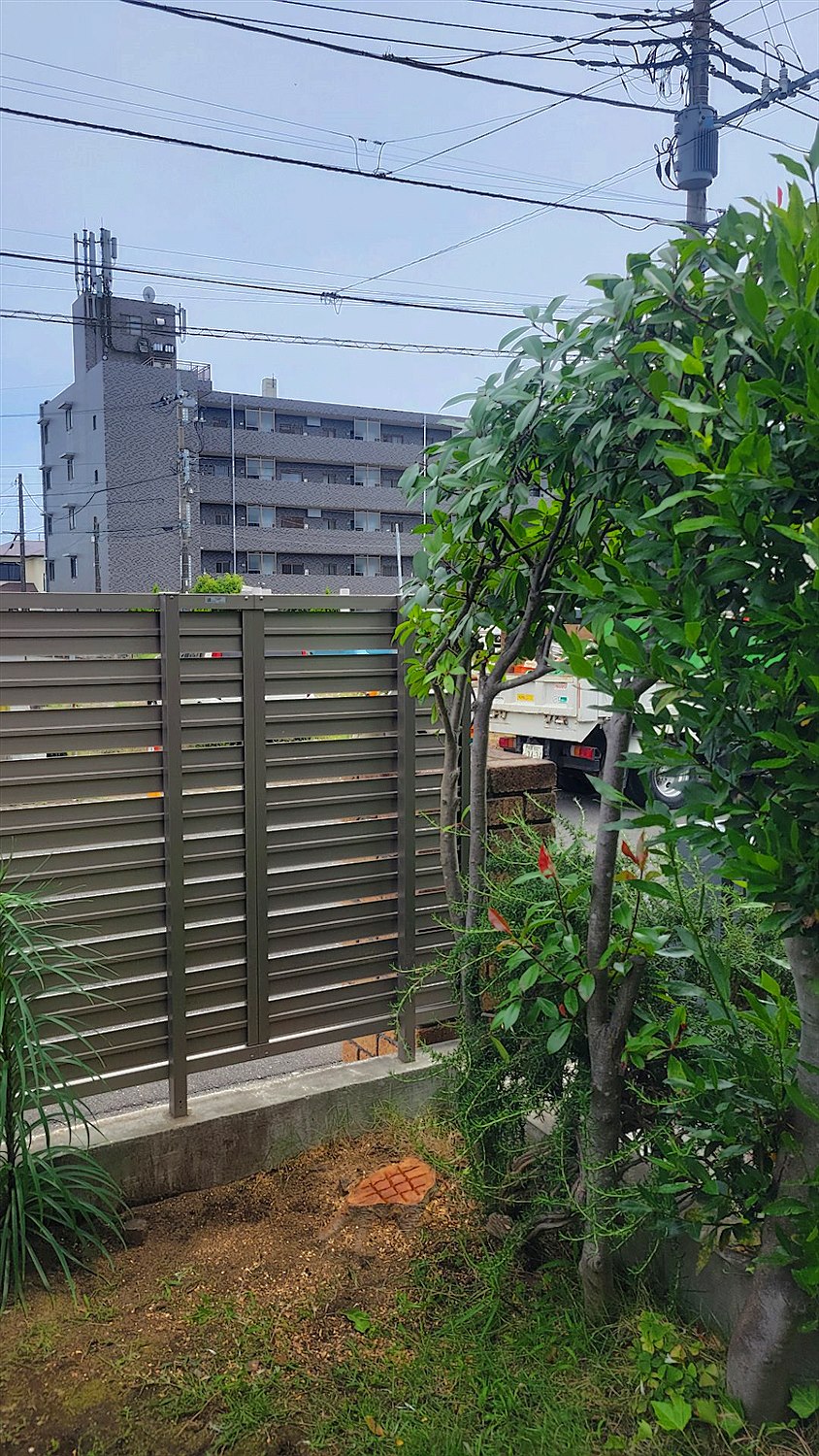 大阪府東大阪市／庭木伐採