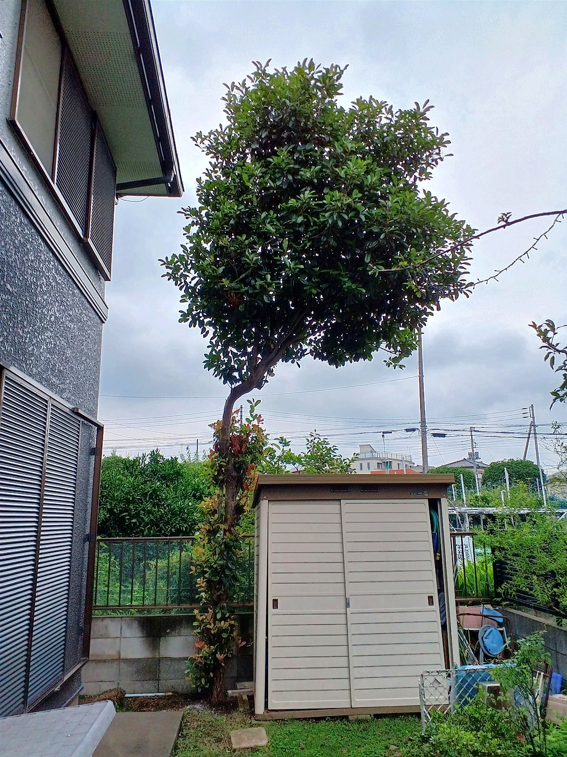 施工前2