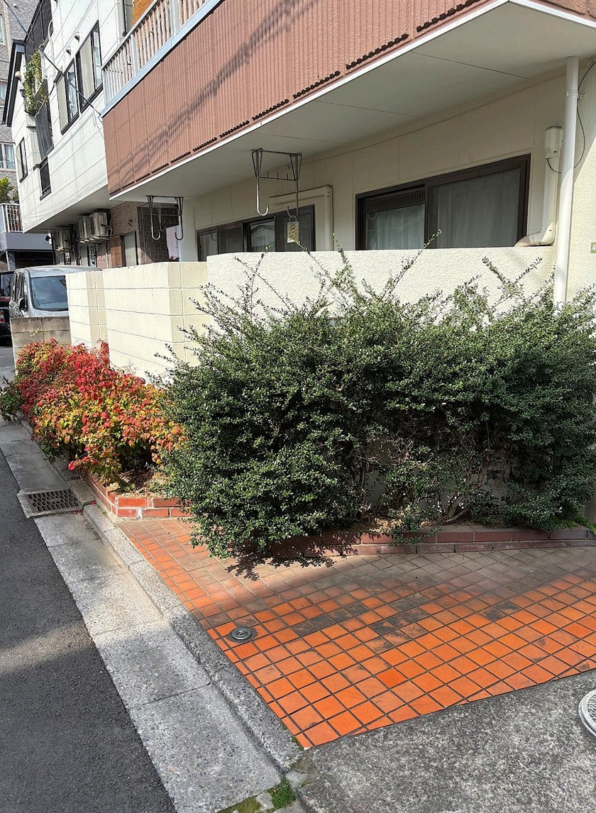 施工前