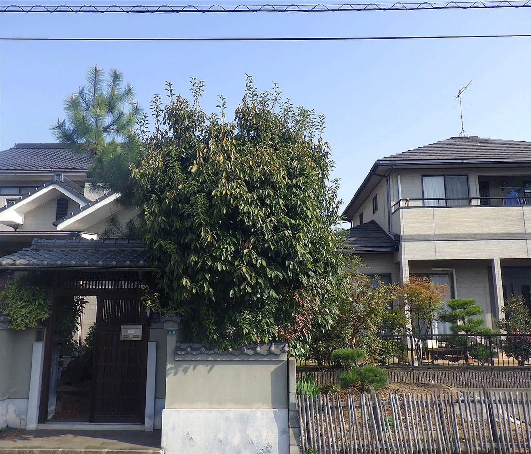 施工前2