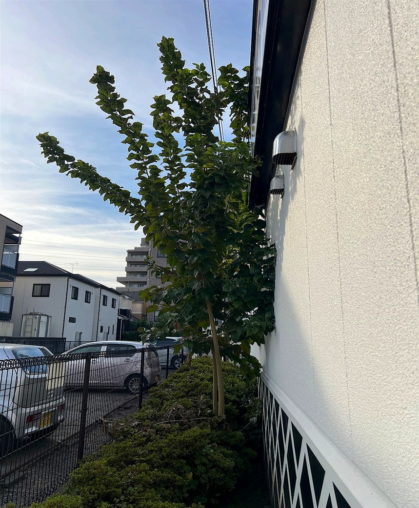 施工前2