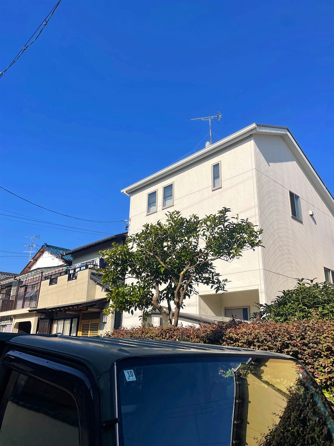 栃木県鹿沼市／庭木剪定