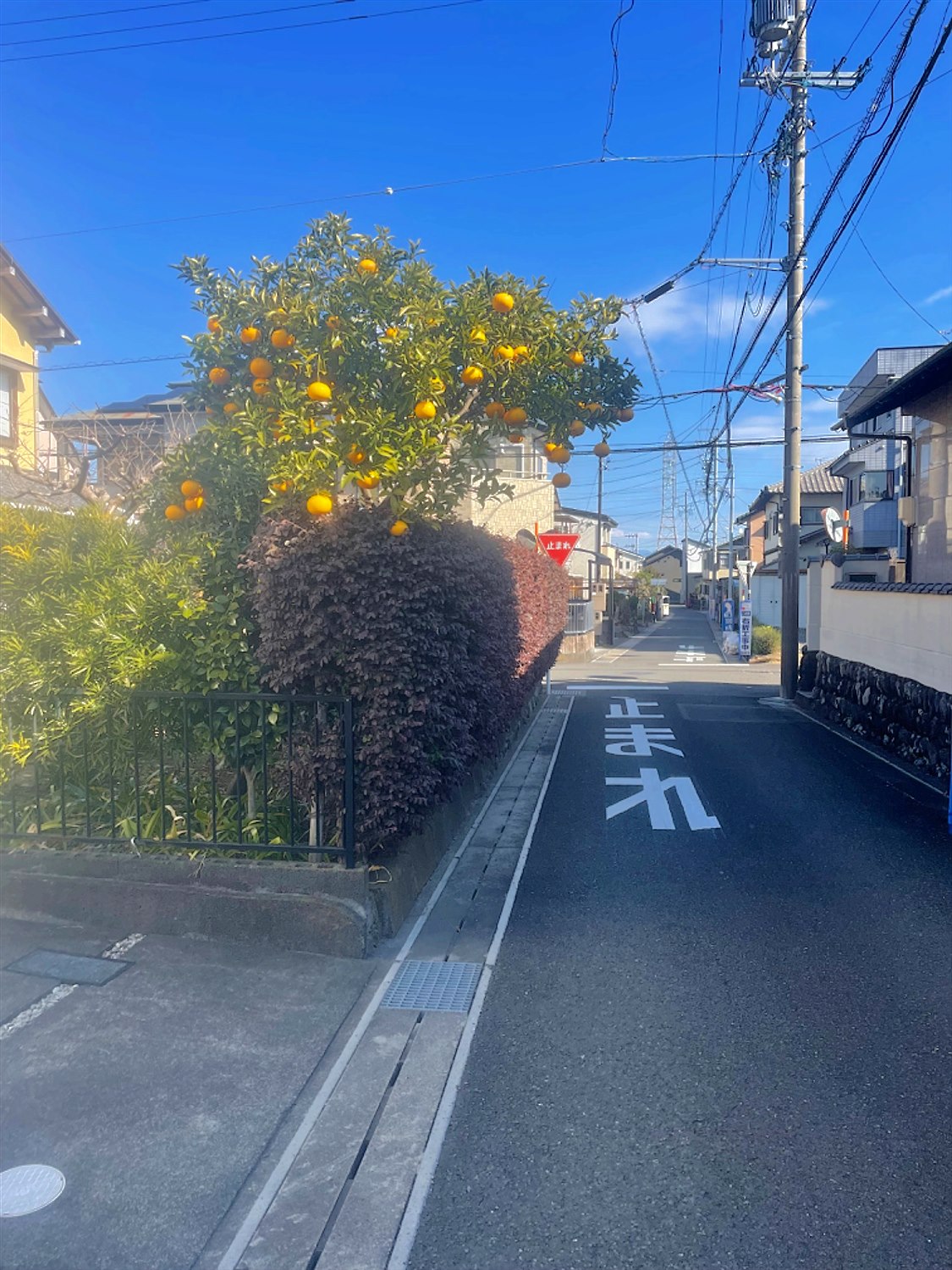 施工前2