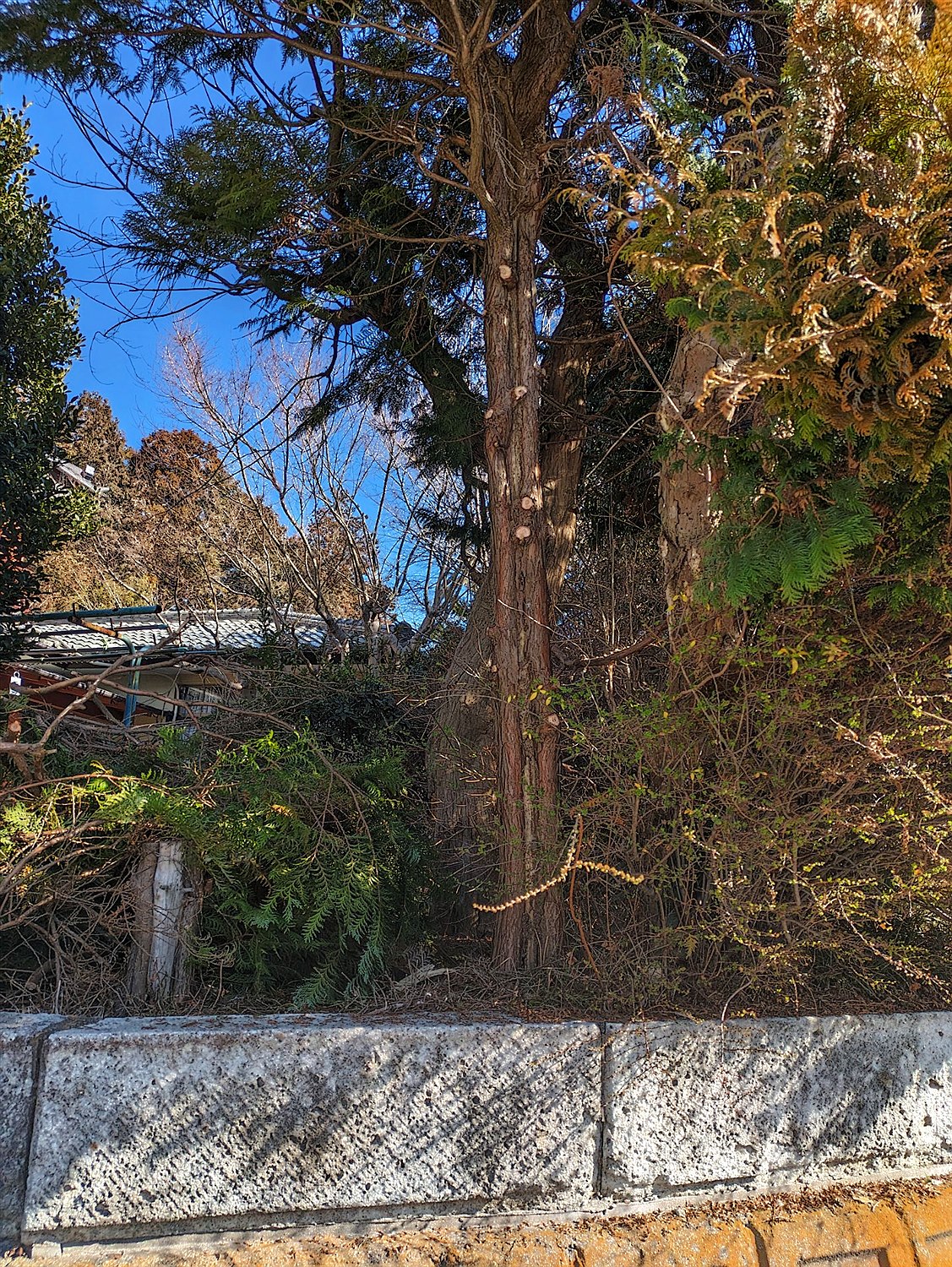 施工前2