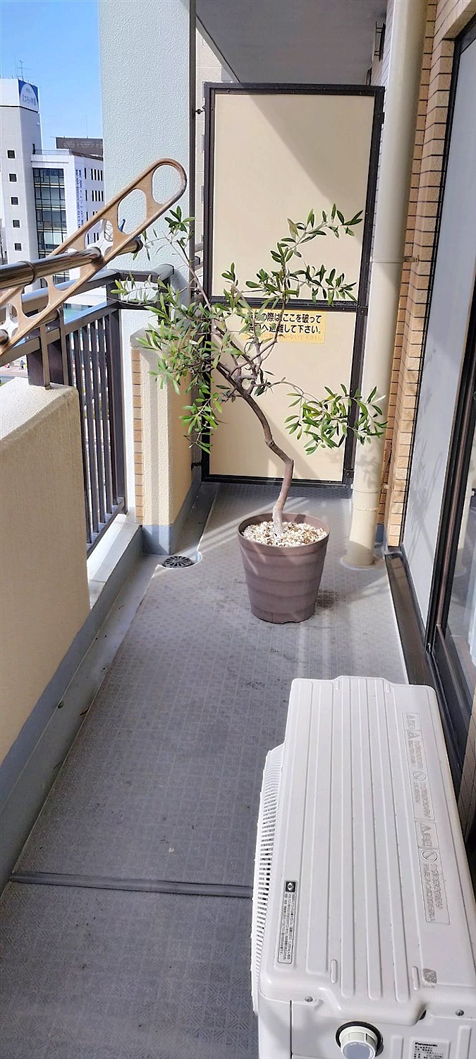 静岡県牧之原市／庭木剪定