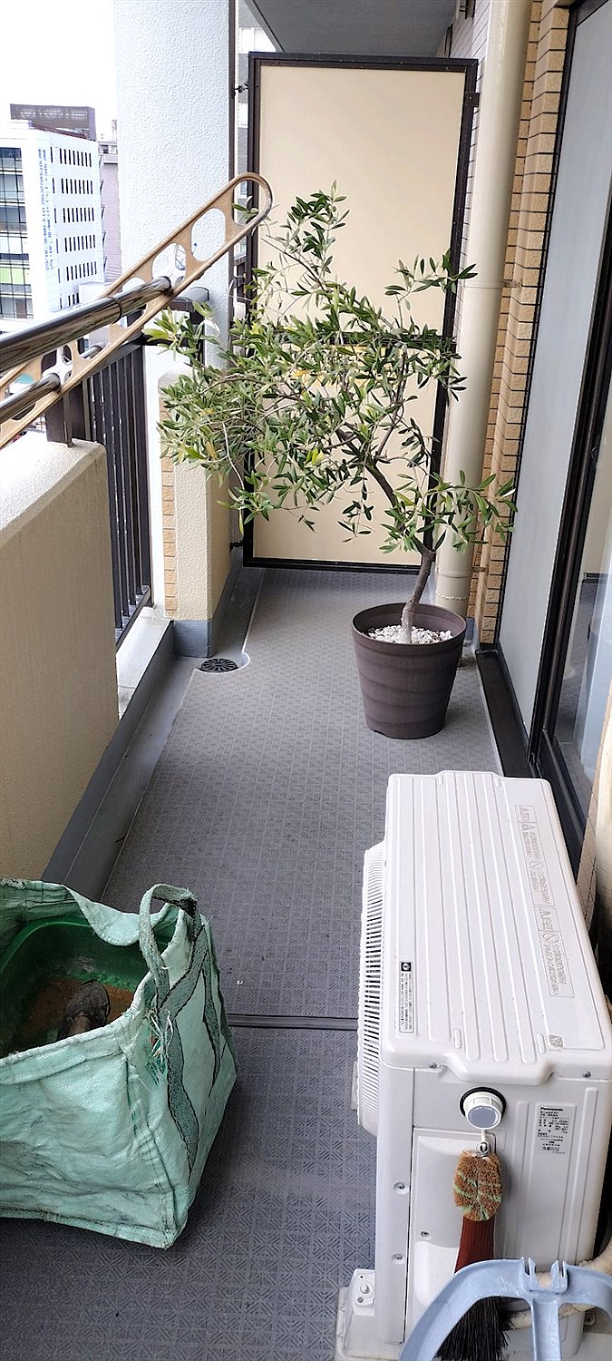施工前