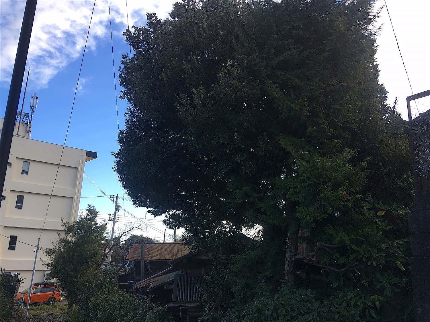 施工前2