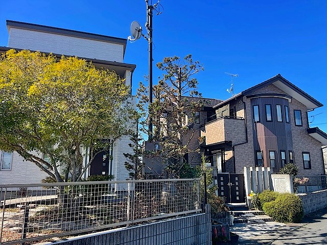 豊橋市／庭木剪定
