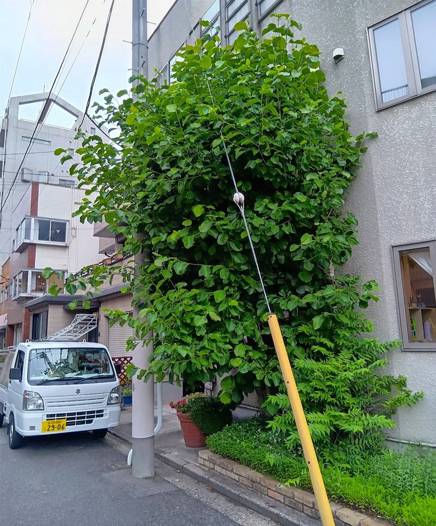 施工前