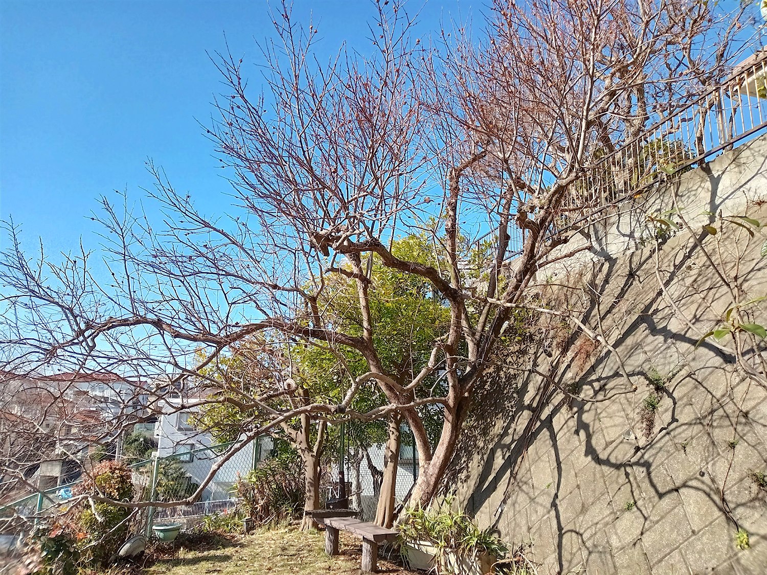 施工前2