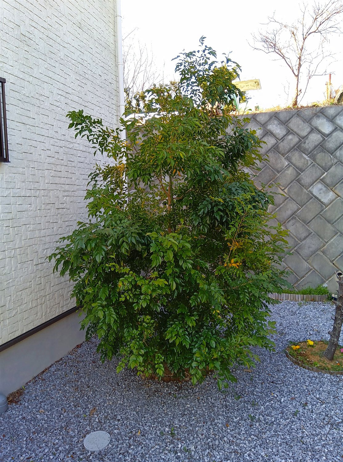 施工前2