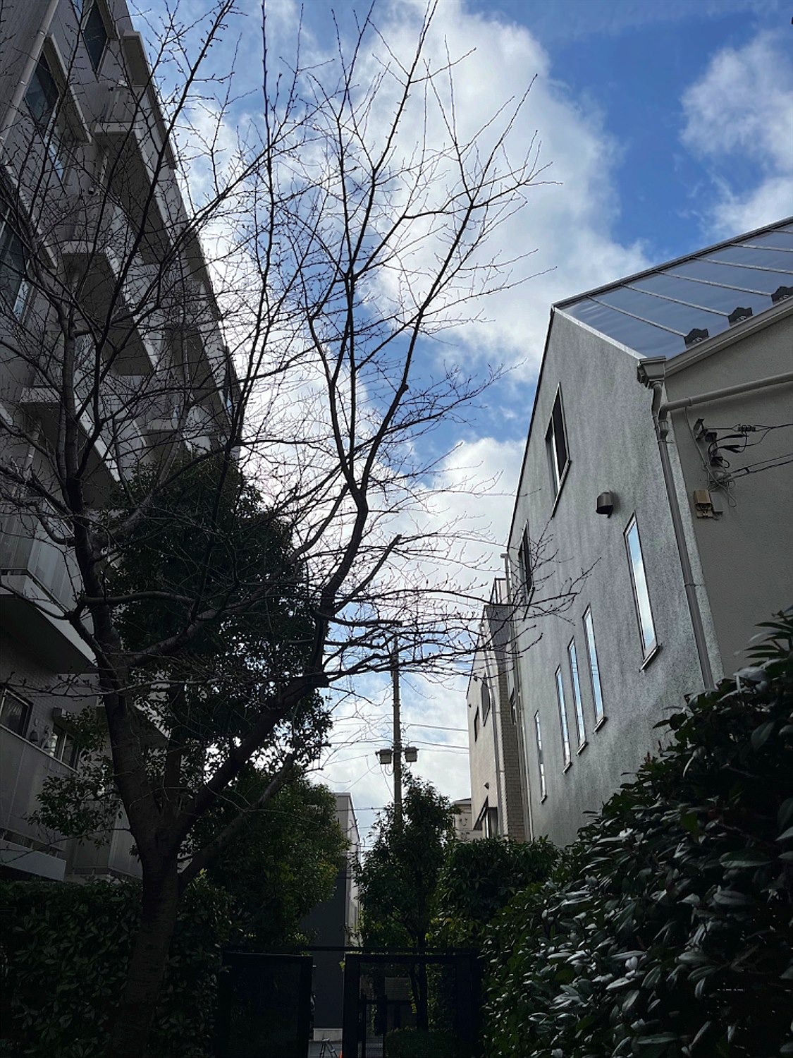施工前
