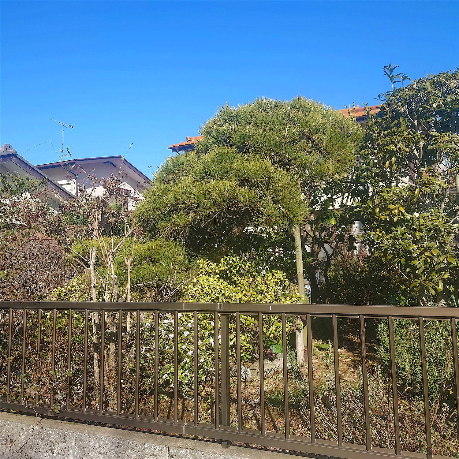 施工前2