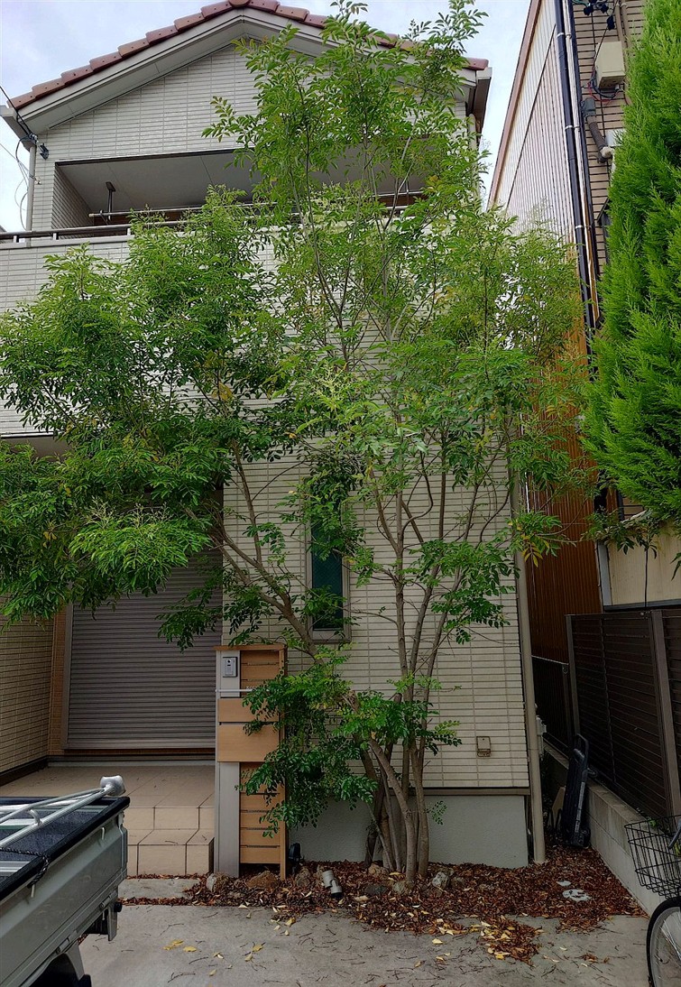 施工前2