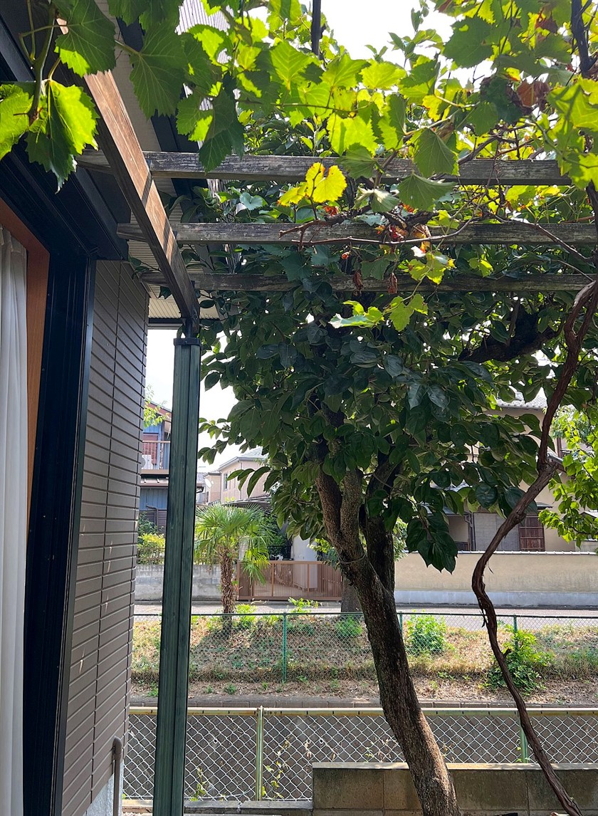 施工前2