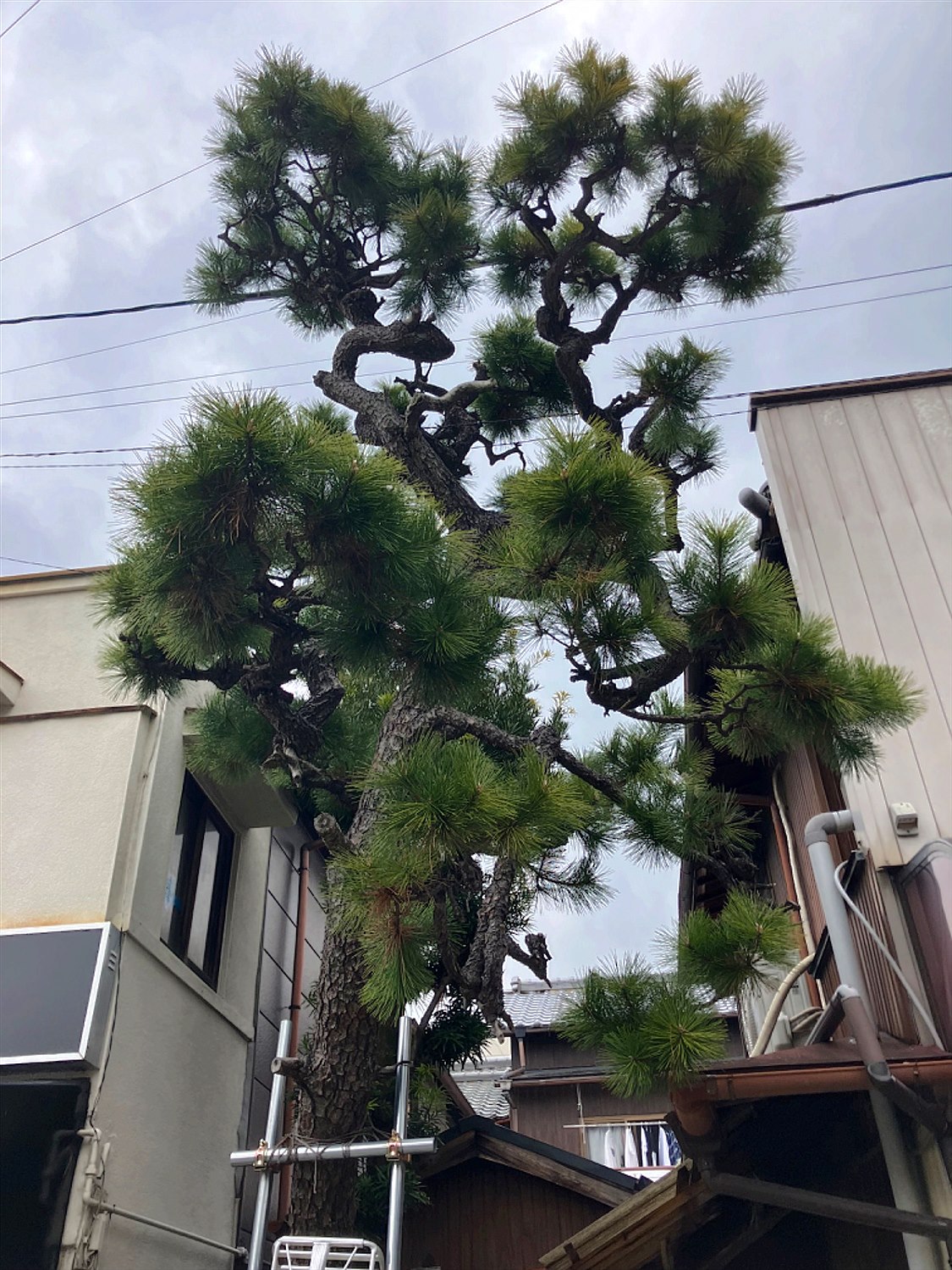 施工前