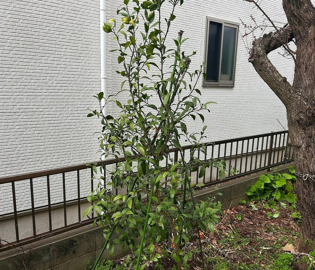 施工後2