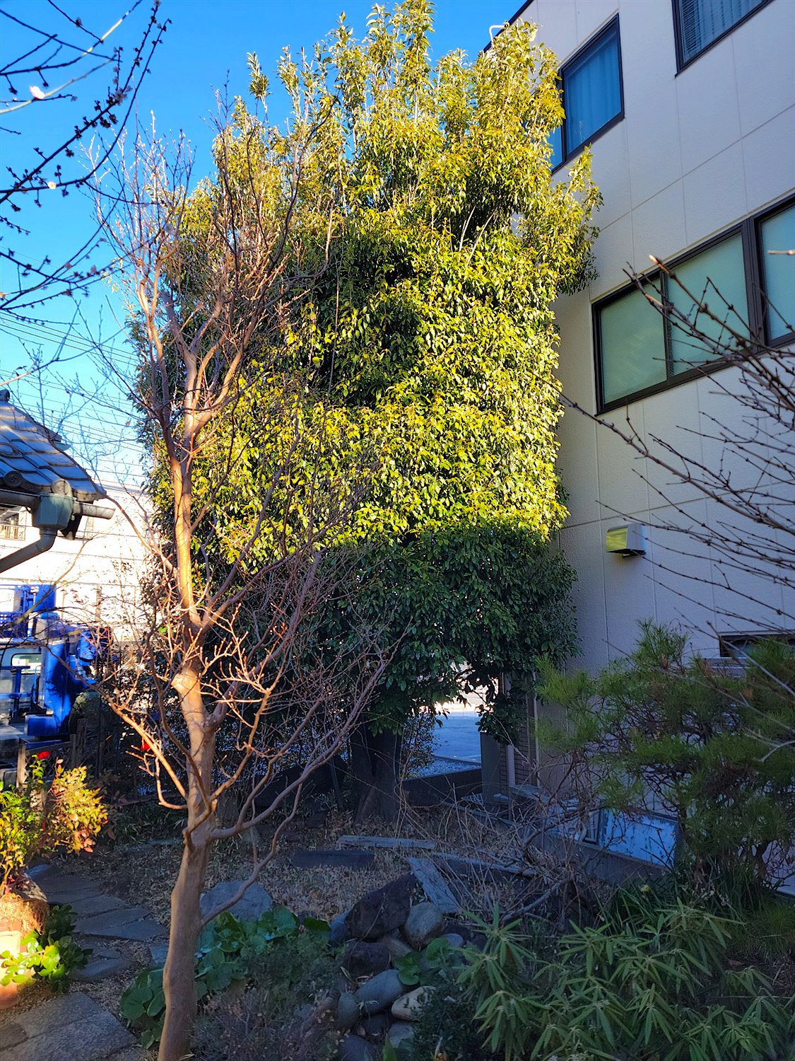 施工前