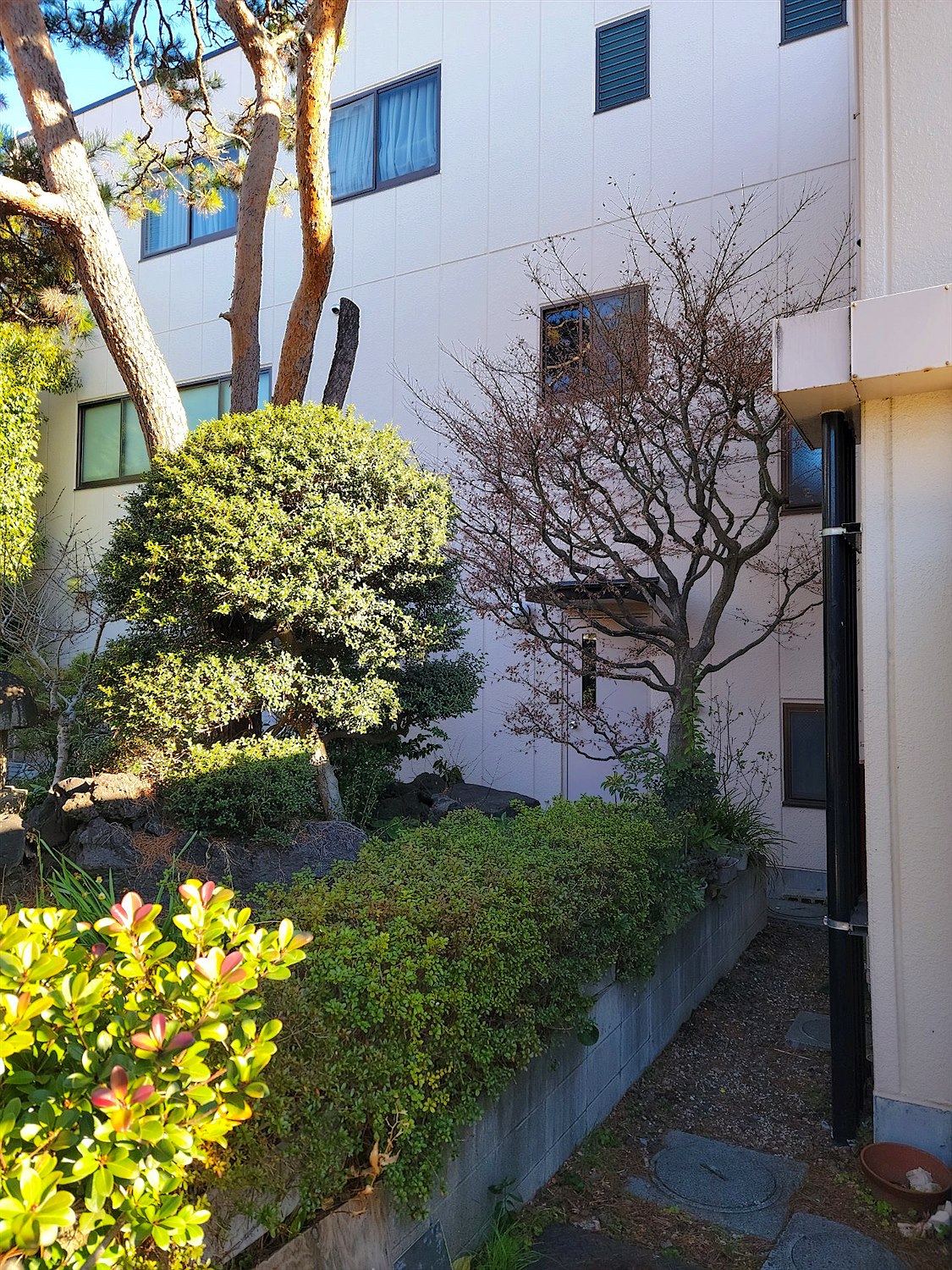 施工前2