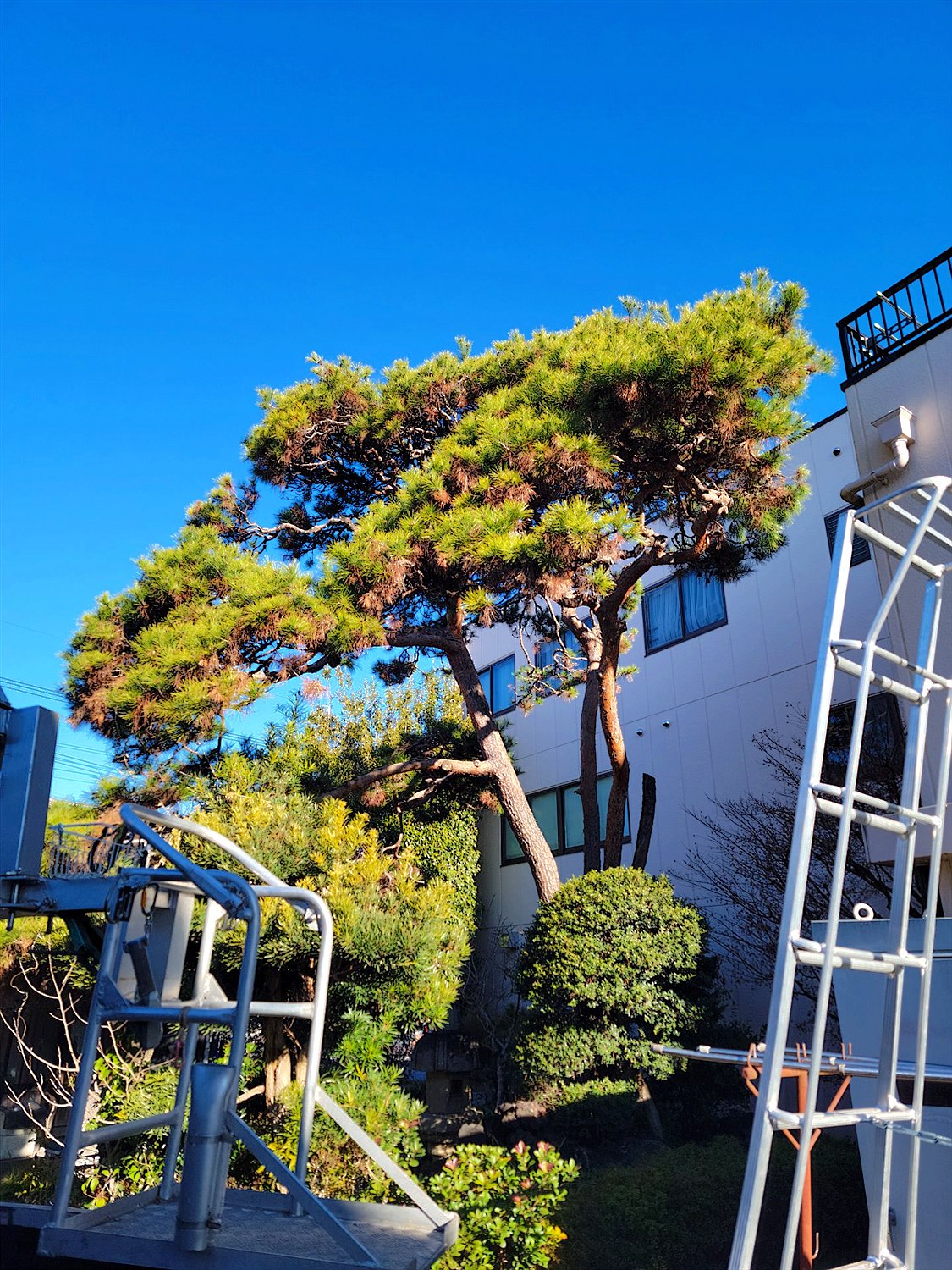 施工前