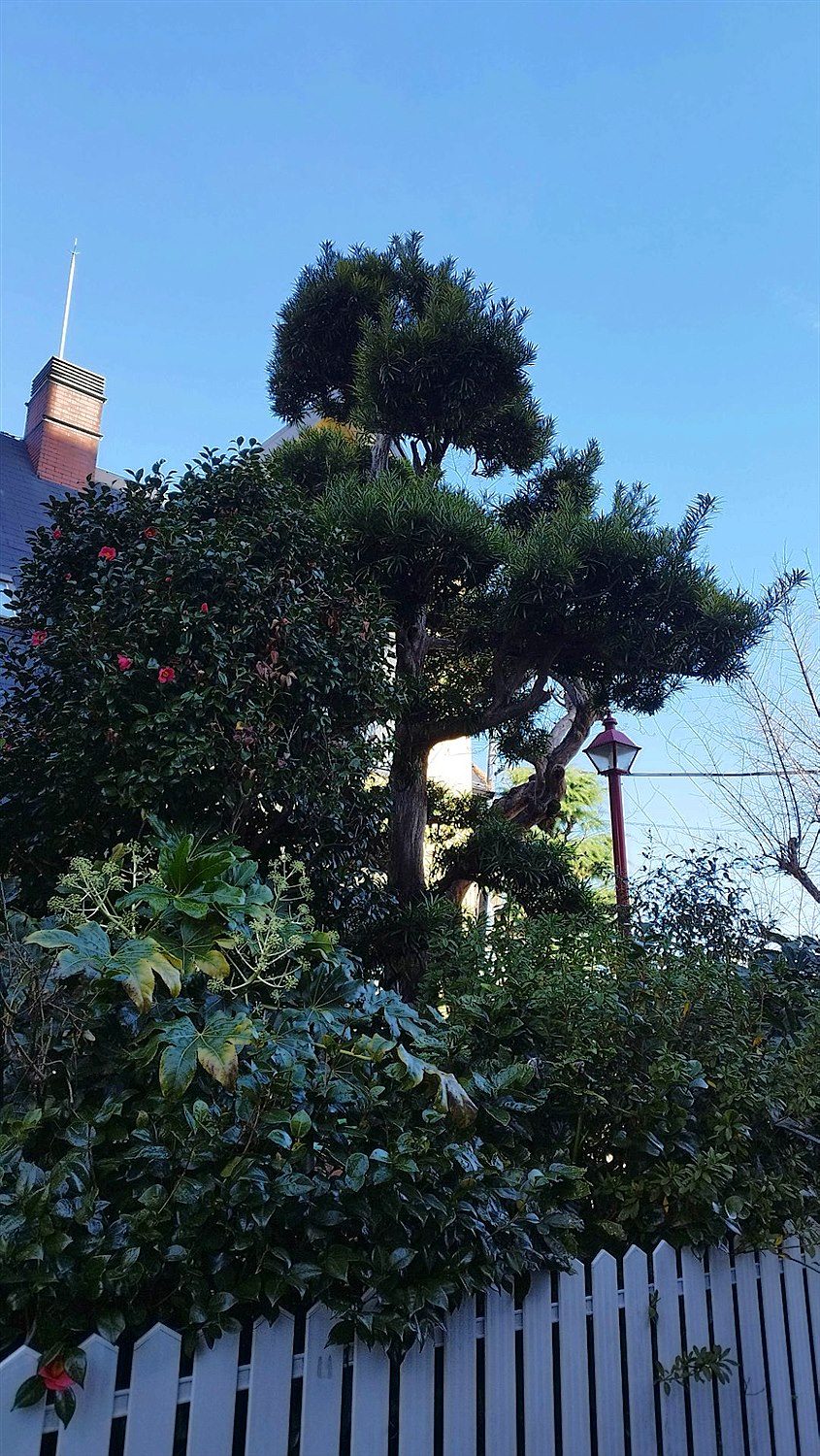 施工前2