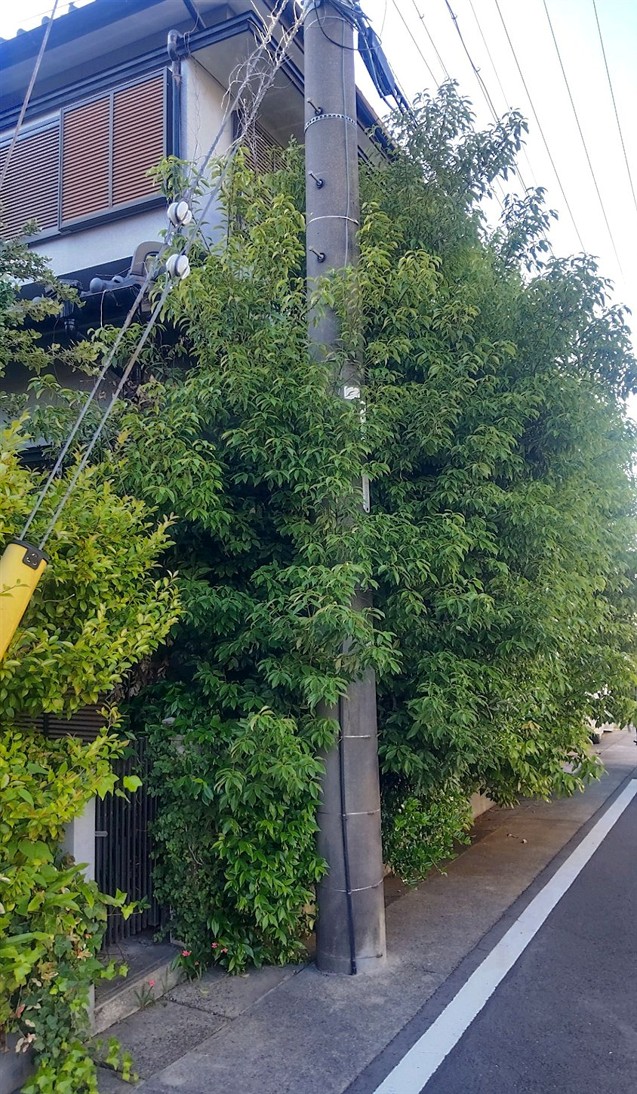 施工前