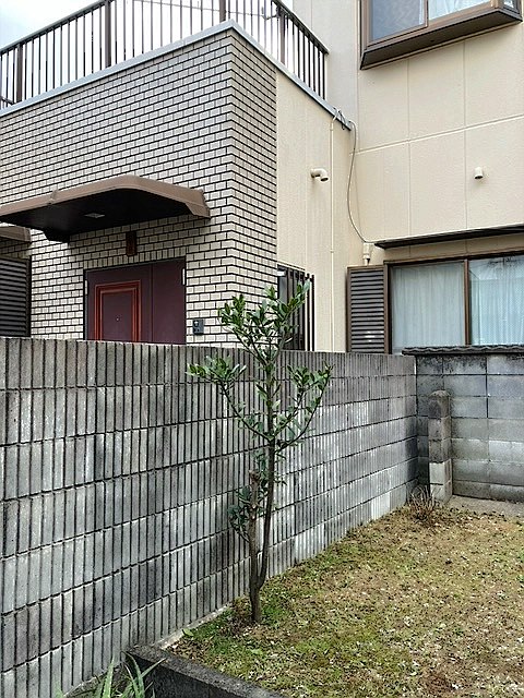 施工後2
