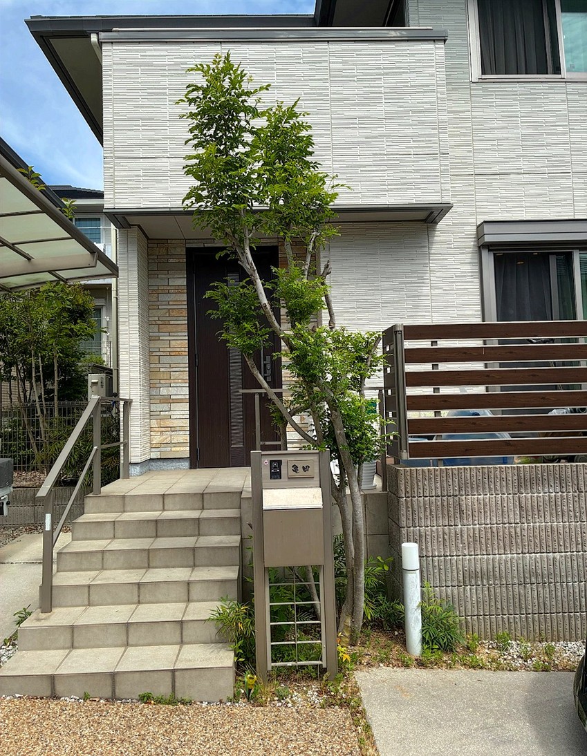 施工前2