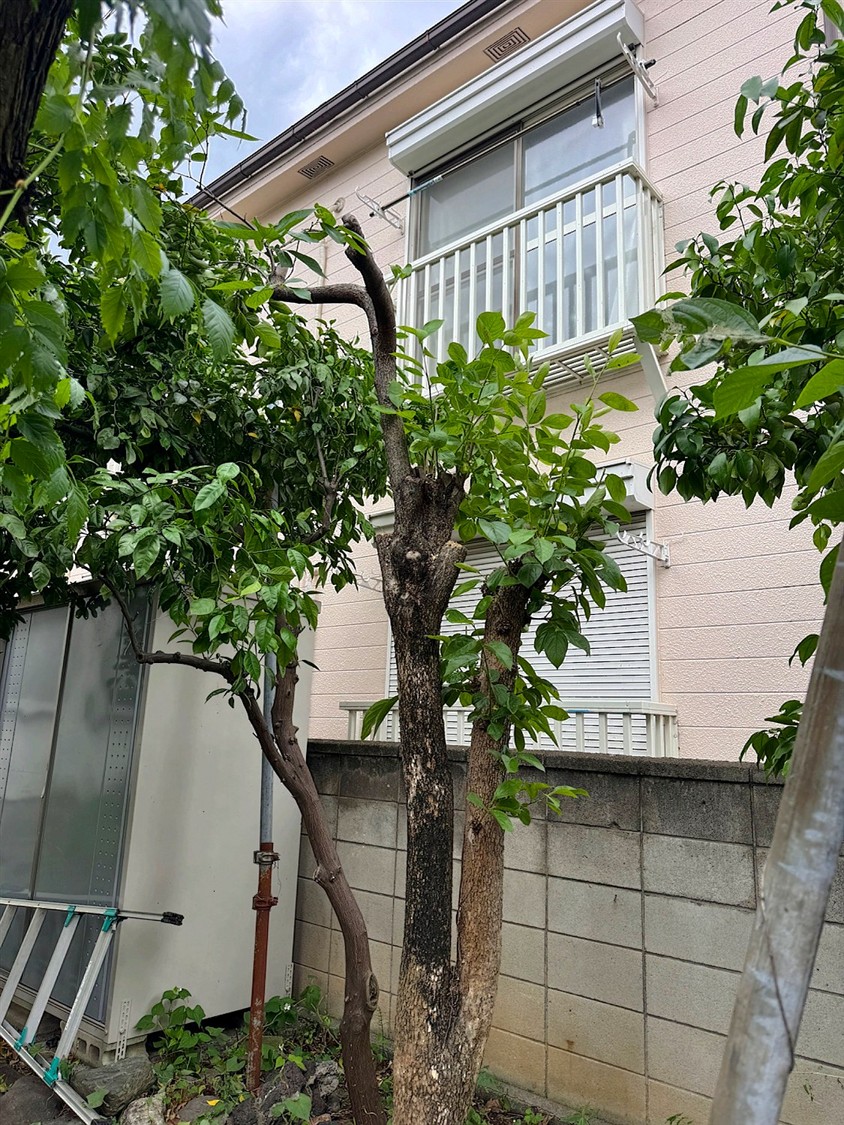 施工後2