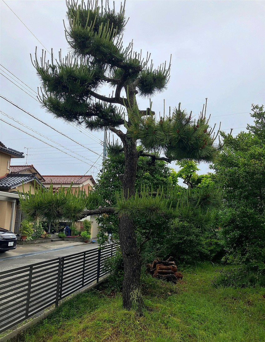 施工前2
