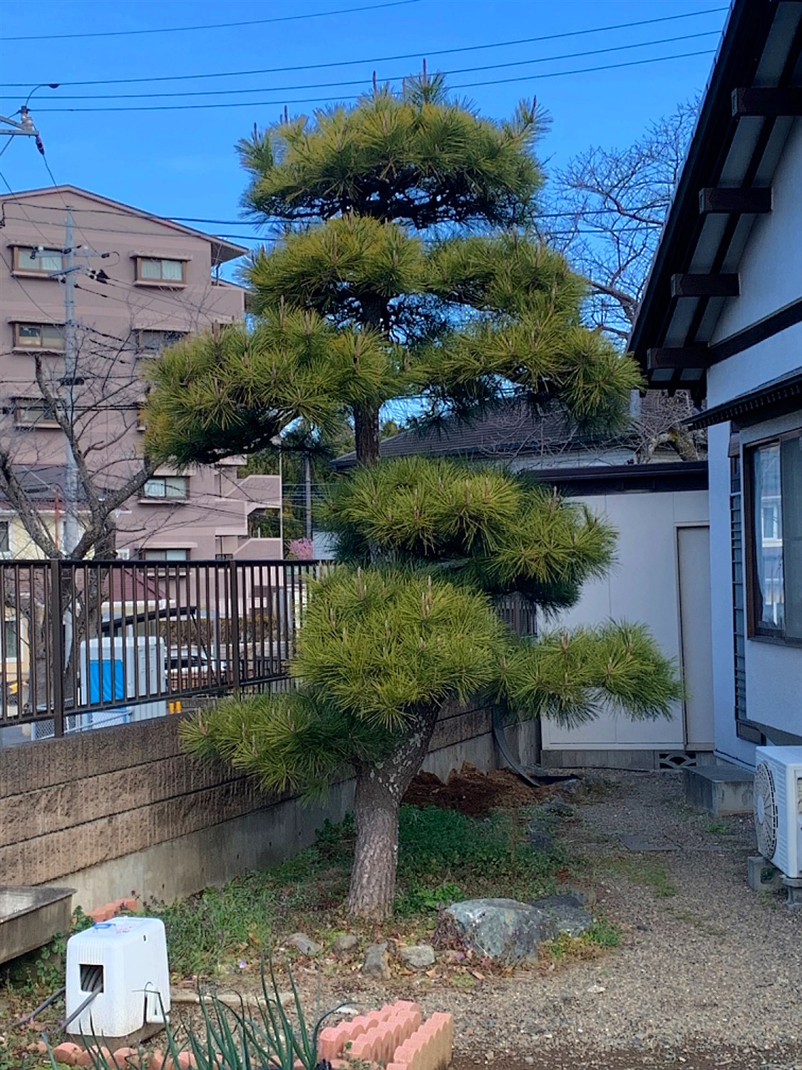施工前