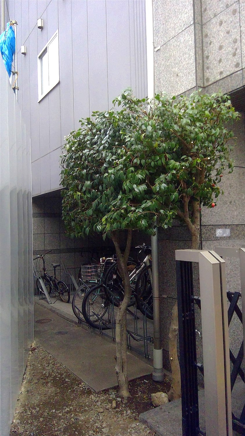 施工後2
