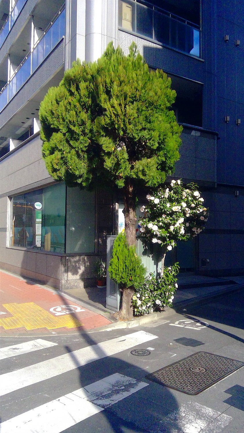施工前