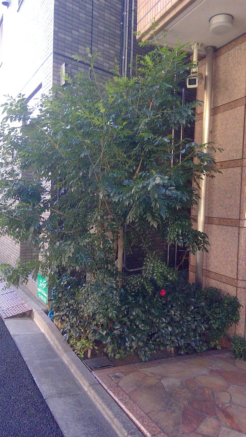 施工前