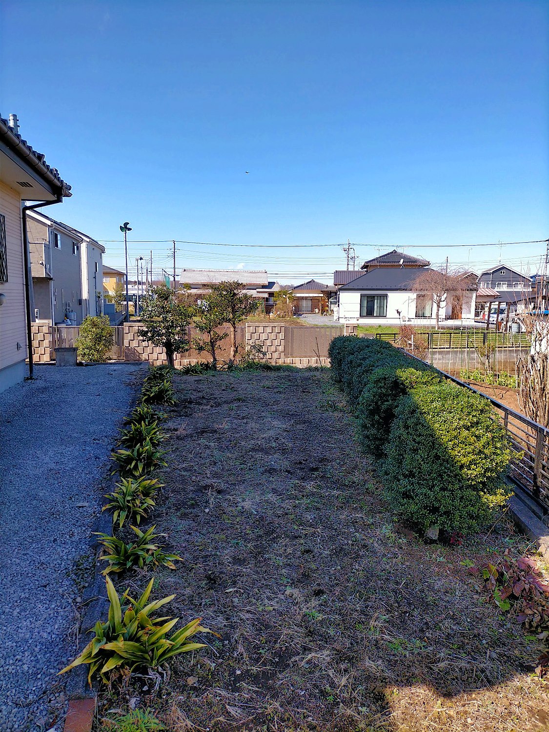神奈川県茅ケ崎市／庭木剪定