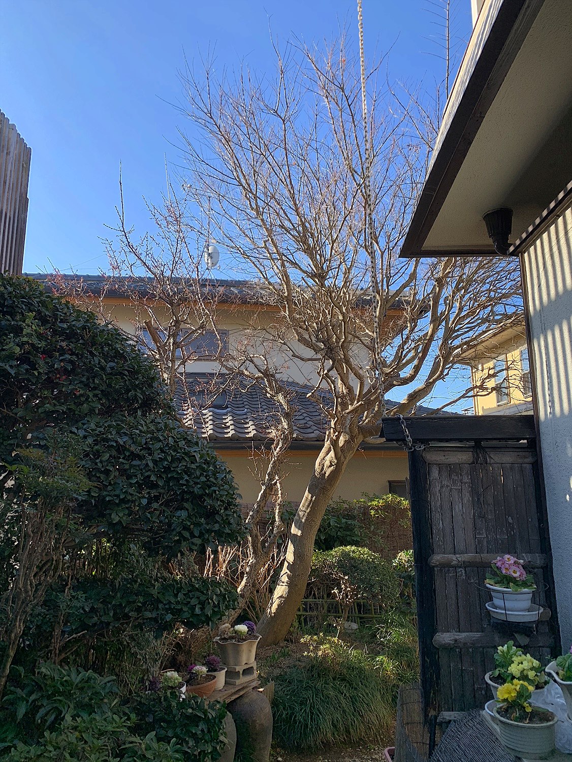 施工前