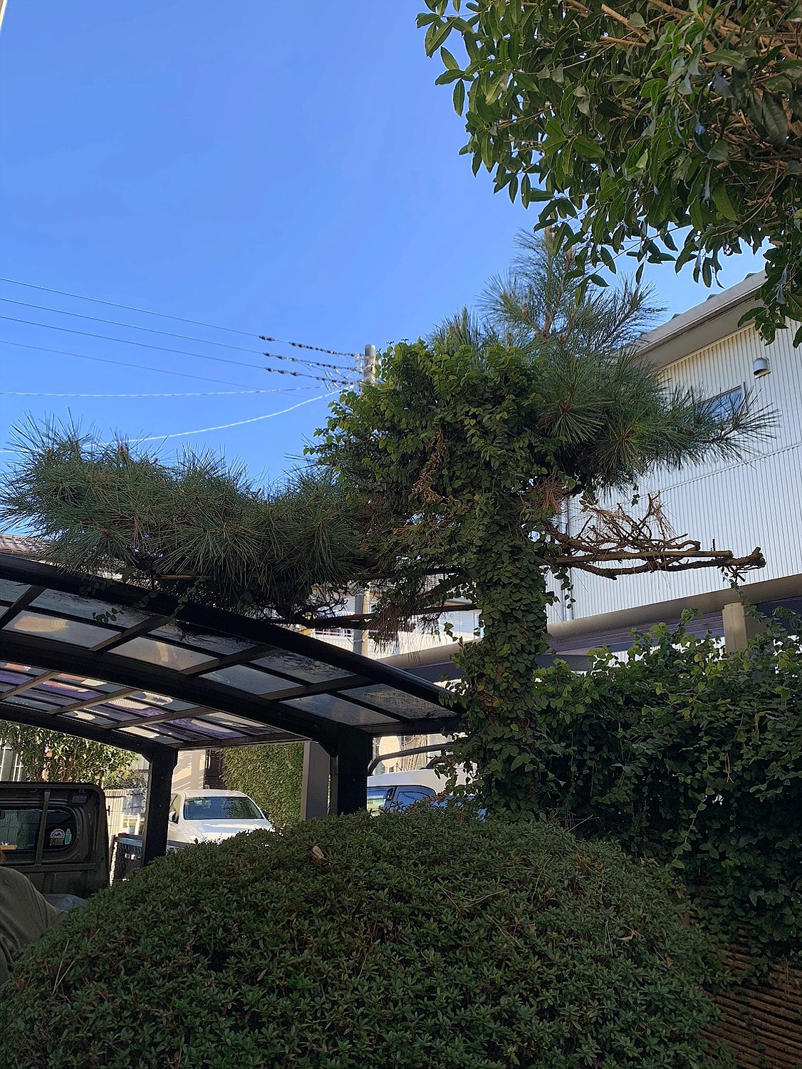 施工前2