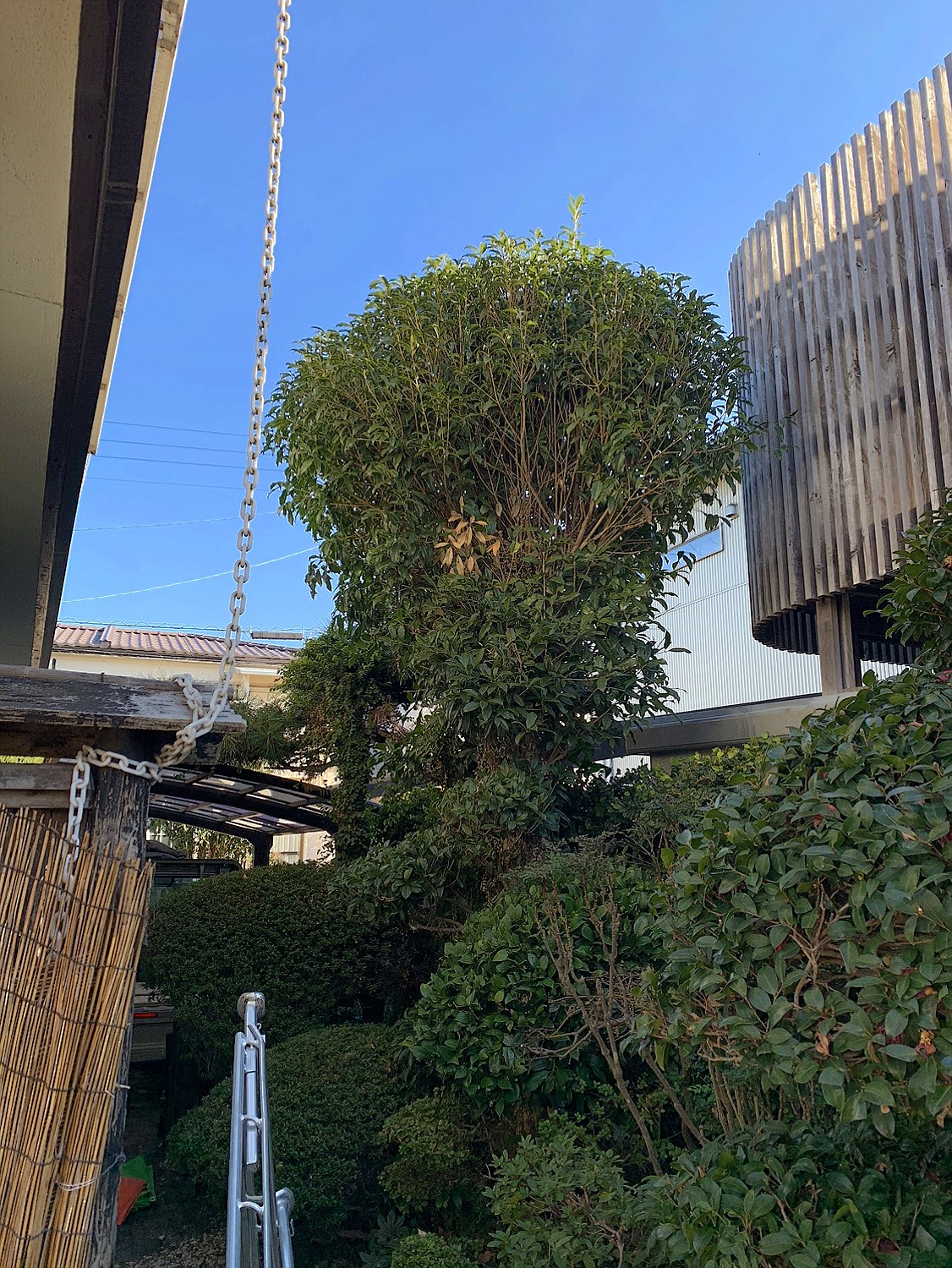 施工前