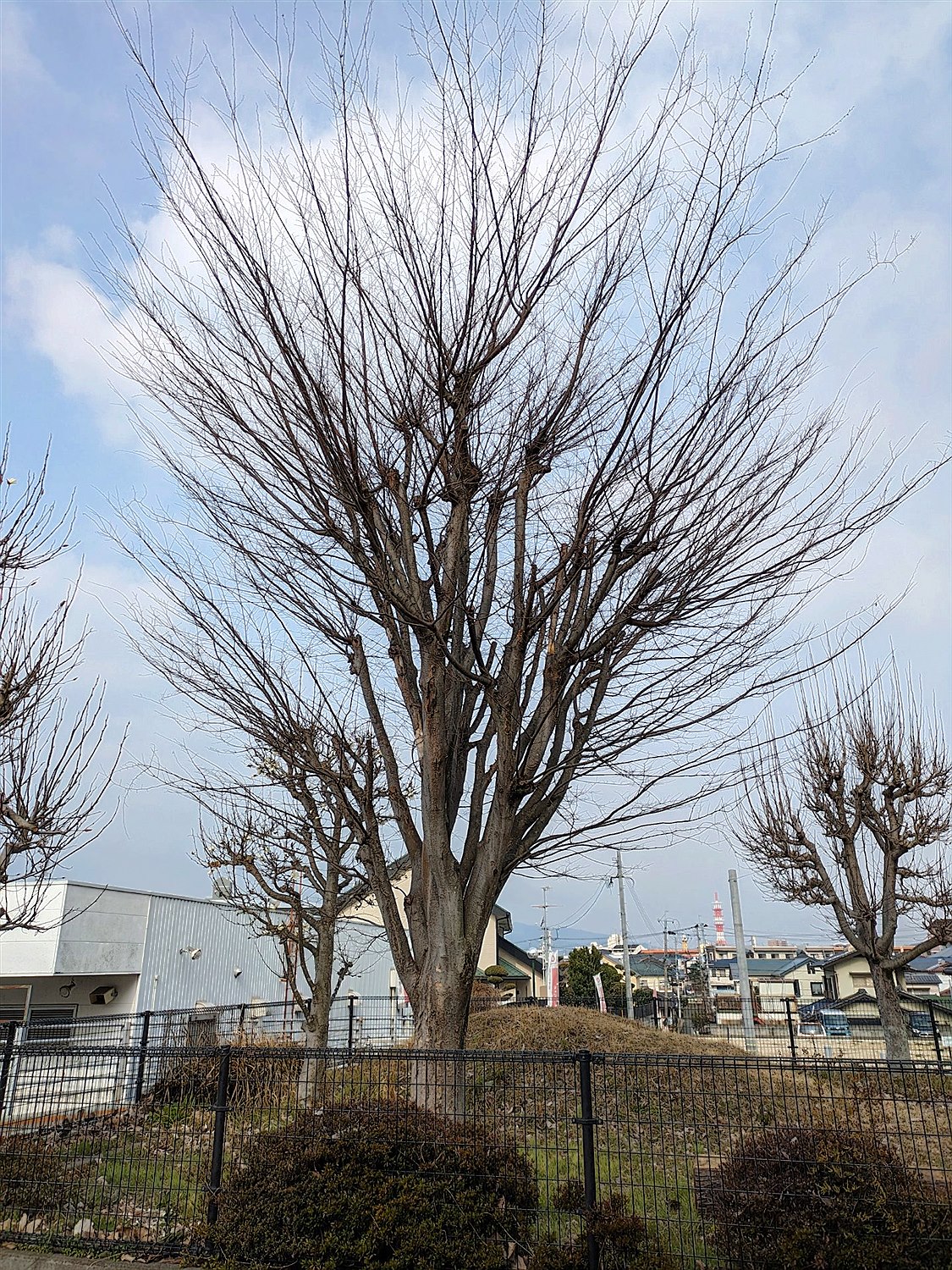 施工前