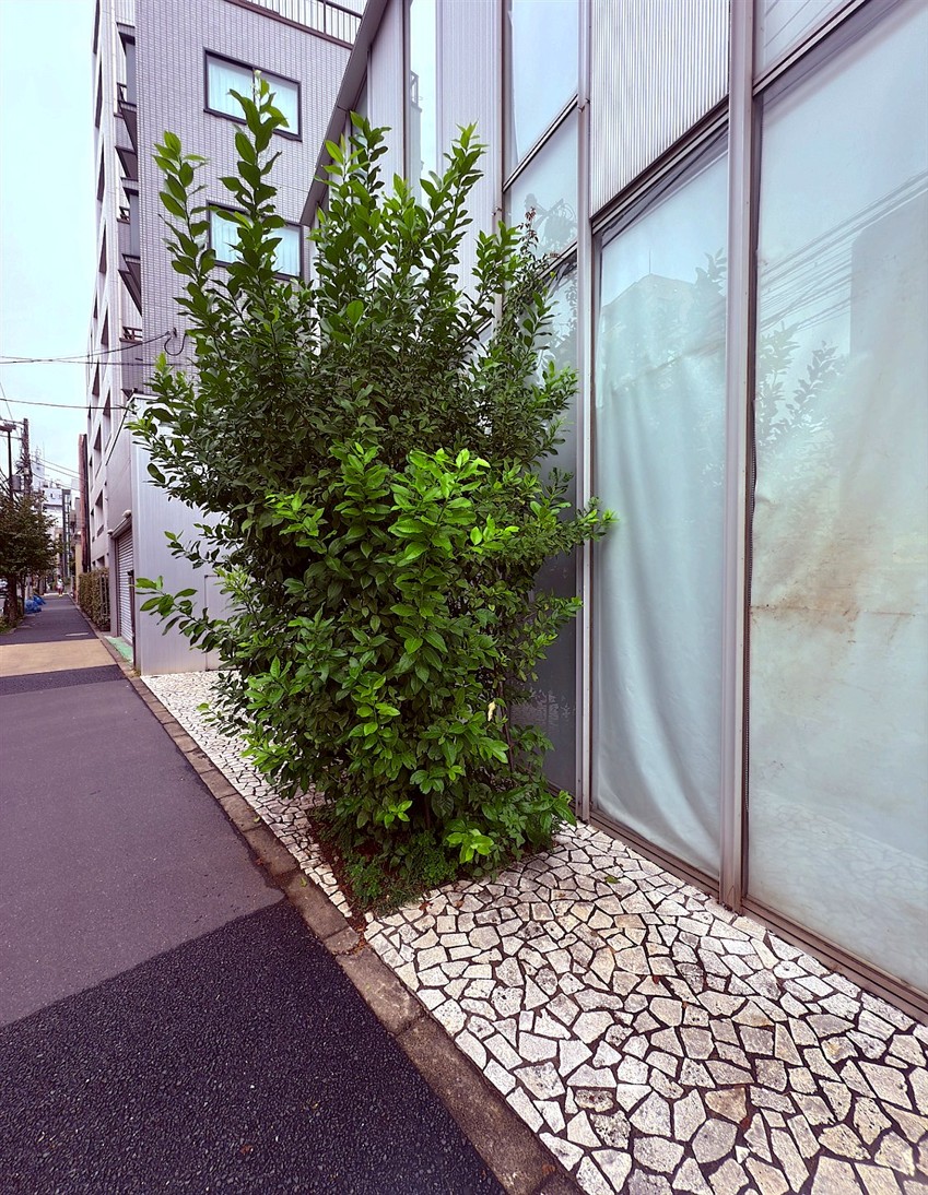 施工前2