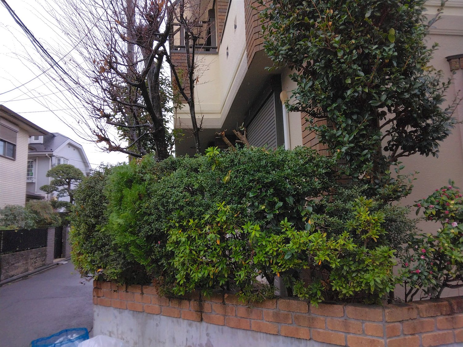 施工前2