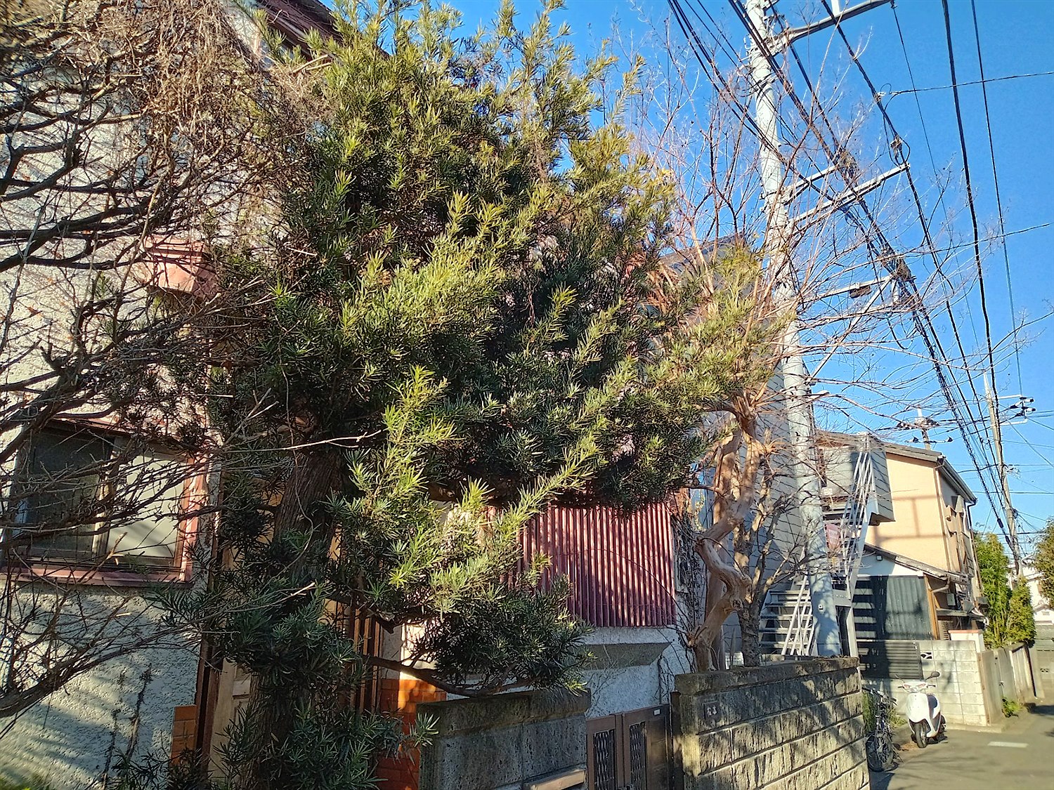 施工前2