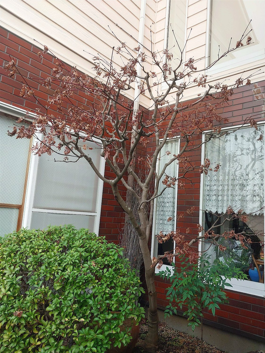 施工前