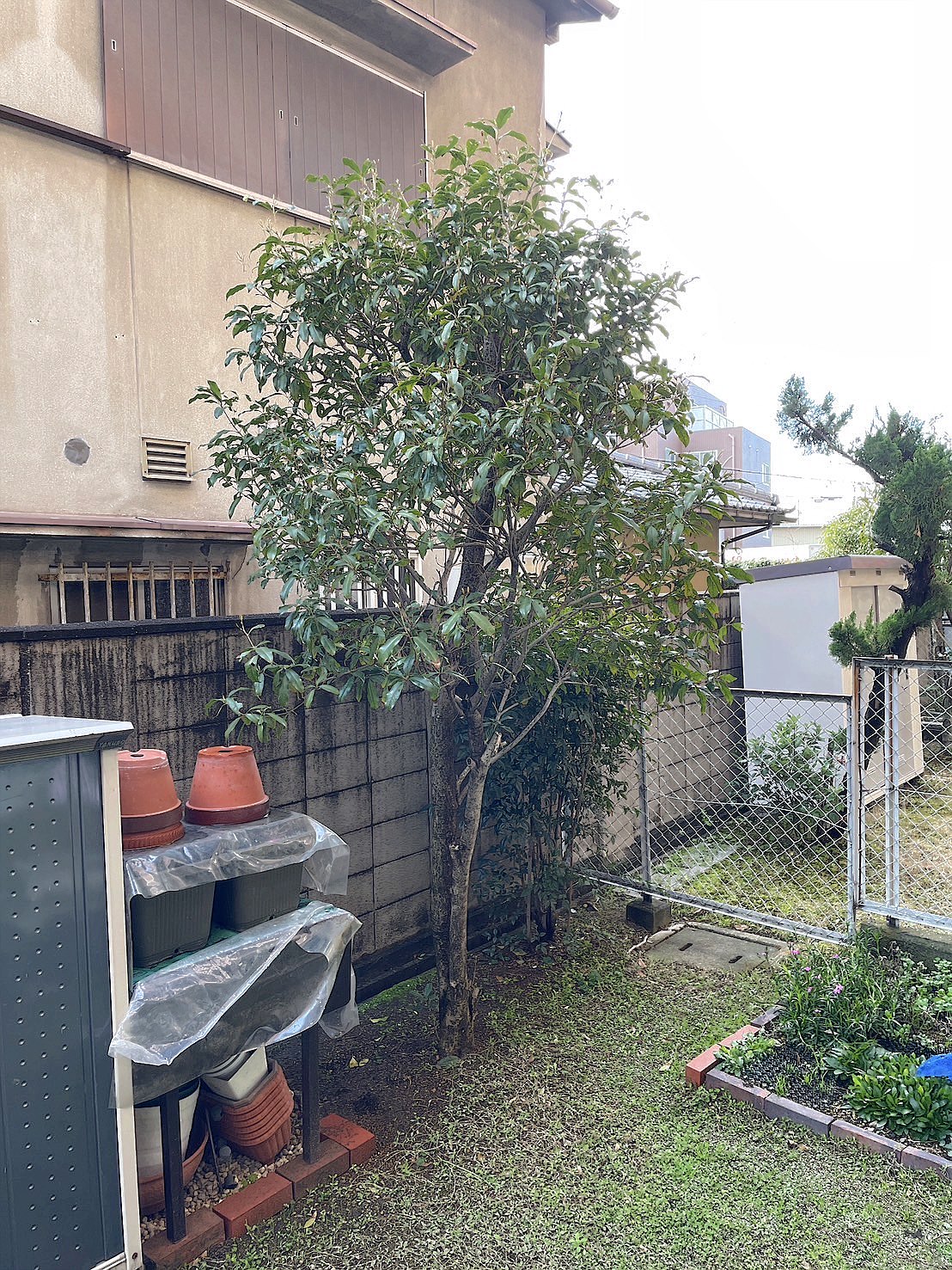 施工前
