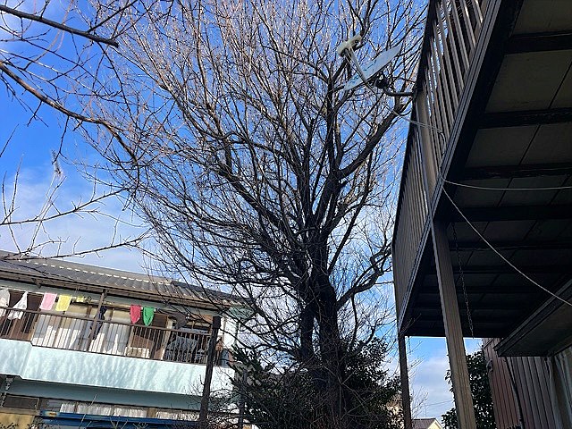 施工前2