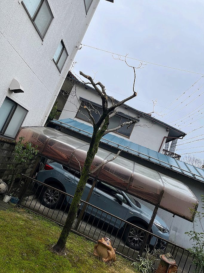 施工後2