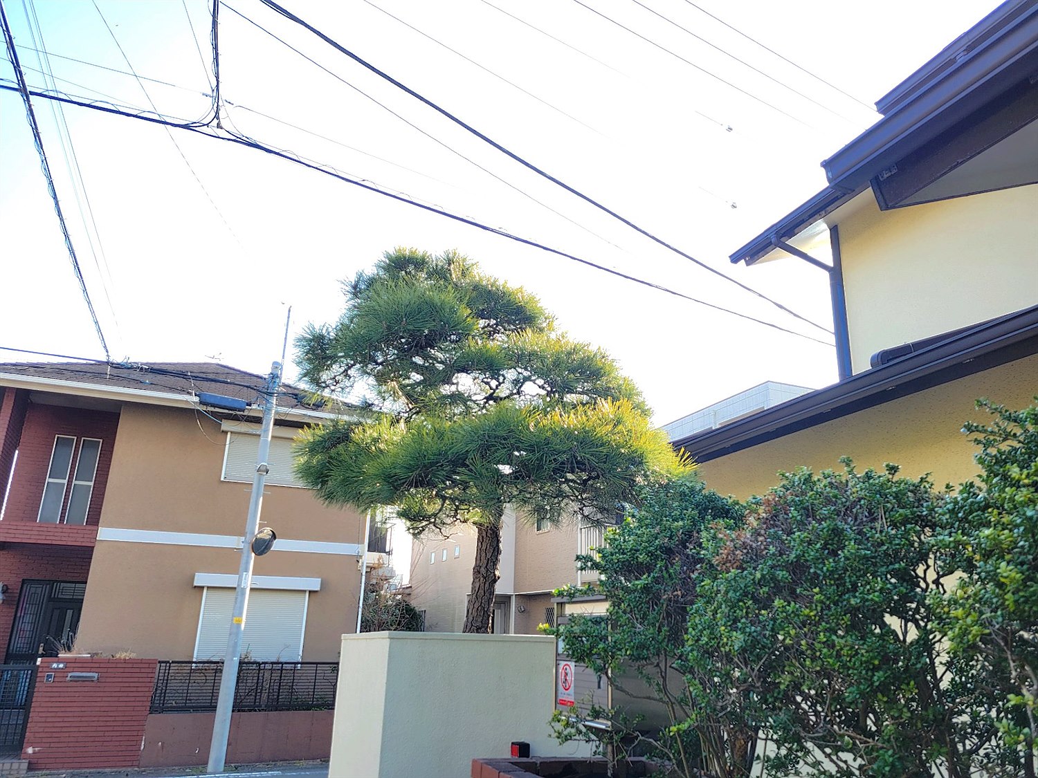 施工前